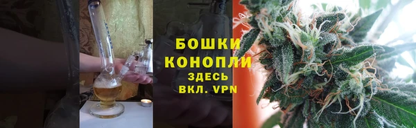 гидра Яранск