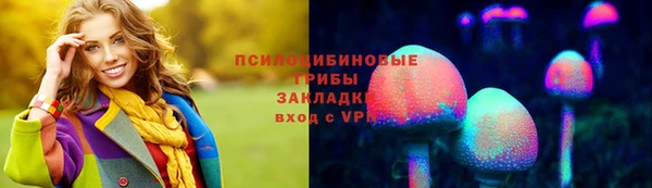 тгк Янаул