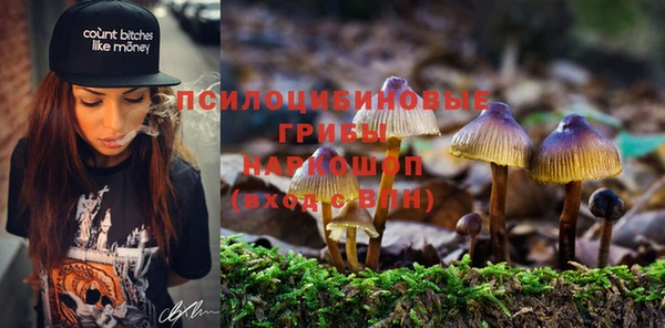 гидра Яранск