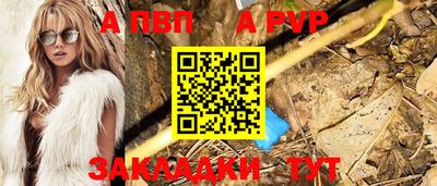 a pvp Гатчина