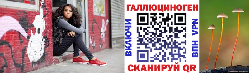 Псилоцибиновые грибы мухоморы Каспийск