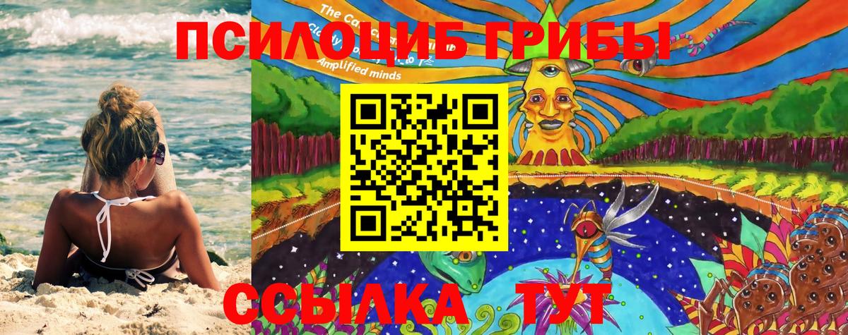 Каспийск  Галлюциногенные грибы Magic Shrooms  Псилоцибиновые грибы Cubensis  Вход с VPN 